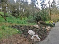 149 PARC ORIENTAL DE MAULEVIER MAINE ET LOIRE 2016 N0_000028